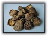 shiitake5